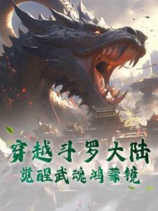 穿越斗罗大陆，觉醒武魂鸿蒙镜