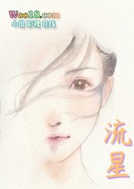 流星（公媳 出轨甜宠）