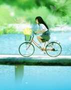 青春年华的故事